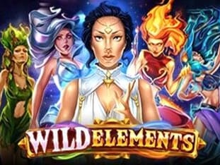 Wild Elements game thumbnail